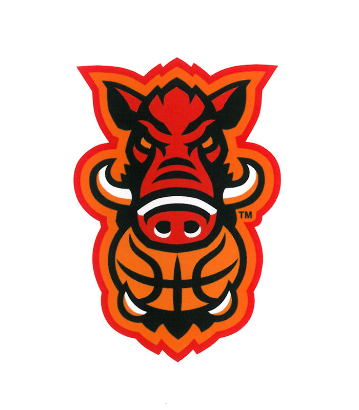 логотип баскетбольной команды