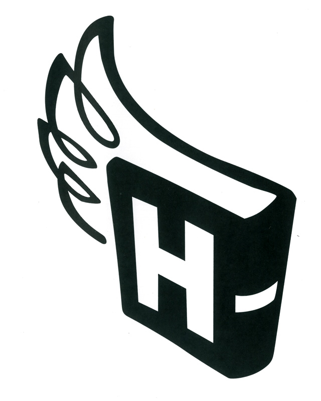 Логотип в виде книги